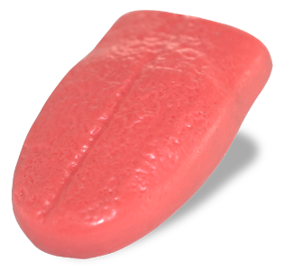 Simulated Soft Tongue