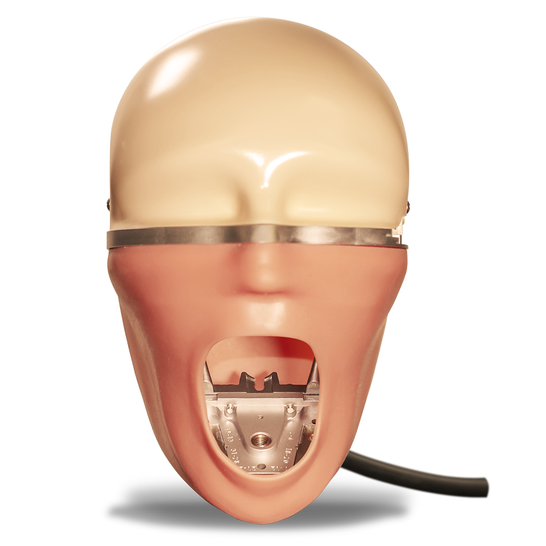 Charlie Manikin System