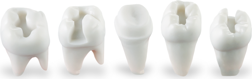DH Pre-Prepared Teeth