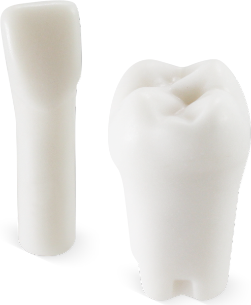 Replacement Teeth
