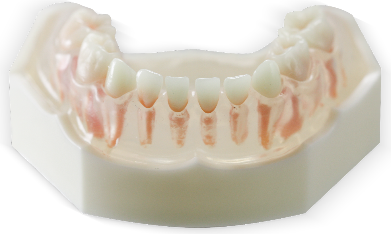 Primary Teeth